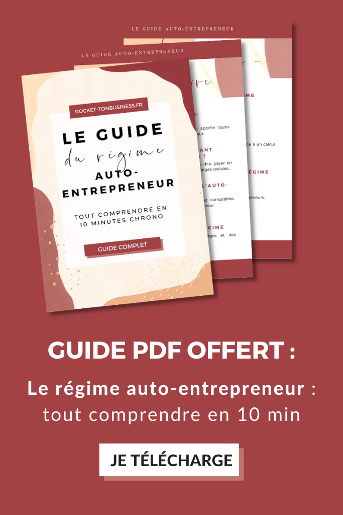 E-book guide auto-entrepreneur micro-entreprise